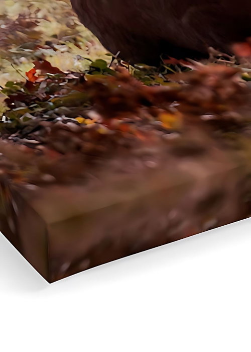 Wallity Artcanvas46 Lienzo Decorativo Multicolor 40 x 60 cm Wallity Artcanvas46 Lienzo Decorativo Multicolor 40 x 60 cm